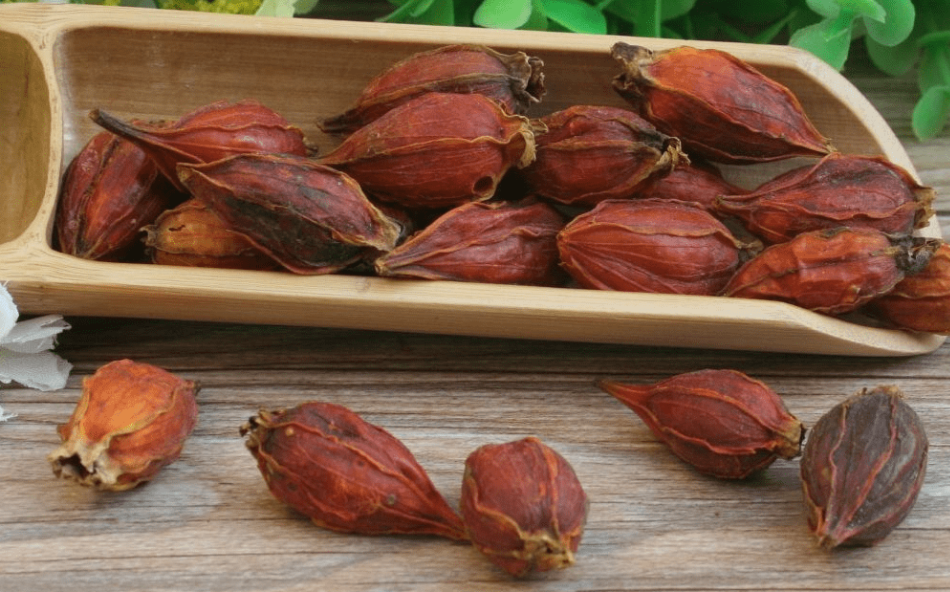 梔子黃色素通常應(yīng)用在哪些食品上？
